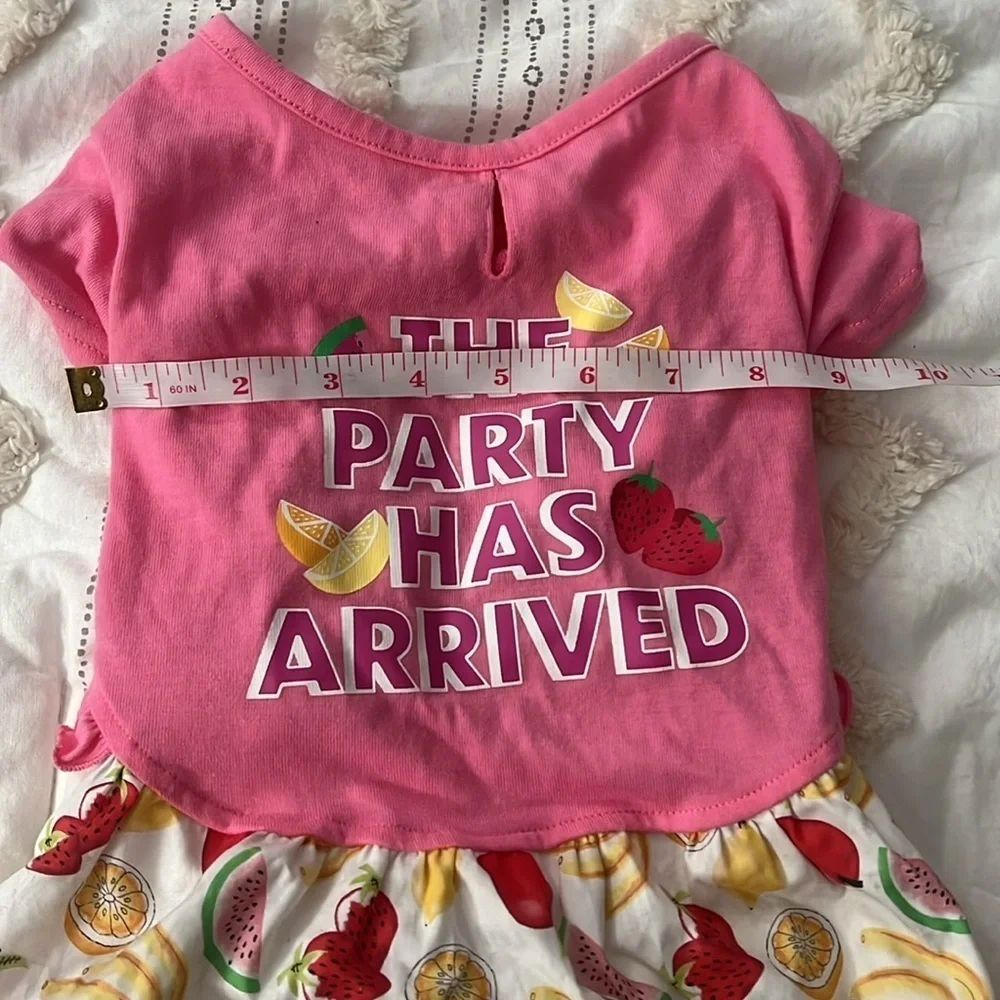 small dog pink party dress with fruit pattern
